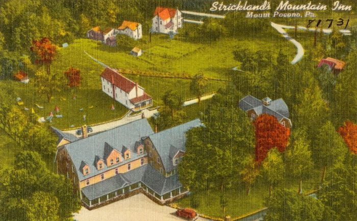 Stricklands Mountain Inn and Cottages - Vintage Postcard And Photo